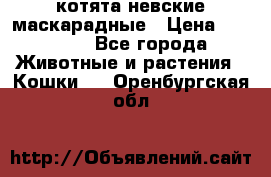 котята невские маскарадные › Цена ­ 18 000 - Все города Животные и растения » Кошки   . Оренбургская обл.